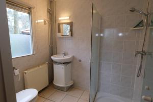 Ένα μπάνιο στο Vakantiehuis De Veldhoen vrijgelegen nabij de rivier de Vecht +47 φωτογραφίες