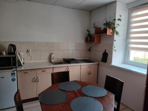 una cocina con mesa y una cocina con fregadero en Apartament „Sowa” jezioro 250m, góry, en Bielawa