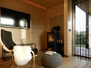 a living room with a chair and a fireplace at Holiday apartment in Thuringia in Zierow