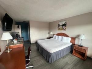 een hotelkamer met een bed en een televisie bij Days Inn by Wyndham Chico in Chico