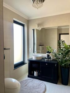 La salle de bains est pourvue d'un lavabo et d'un miroir. dans l'établissement Duke’s House, à Bistriţa