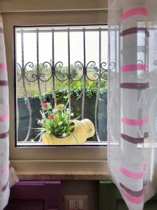 ポルト・エンペードクレにあるHome Shabbyの花鉢と靴を持つ窓