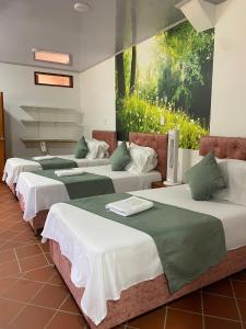 Gallery image of HOTEL BOUTIQUE SIMACOTA in Simacota +97 photos
