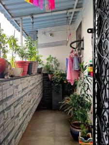 a patio with potted plants on a wall at Calm Private Room with Beautiful View in Mumbai +6 photos