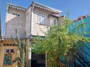 a building with a cactus in front of it at Hospedaje en San Isidro in San Isidro