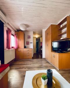 卡帖歐布薩維的住宿－Schmelcer house in Terme Čatež，大型客厅配有电视和桌子
