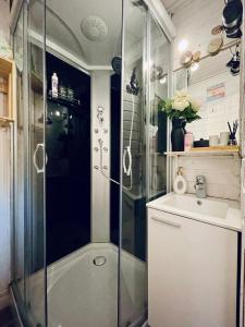 La salle de bains est pourvue d'une douche et d'un lavabo. dans l'établissement Schmelcer house in Terme Čatež, à Čatež ob Savi