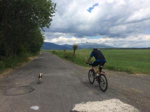 Kerékpározás Drevenica JURsport Dúbrava környékén
