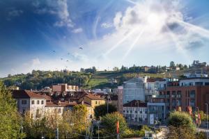 uma cidade com edifícios e pássaros voando no céu em NINARY APARTMENTS a due passi dal centro storico em Alba