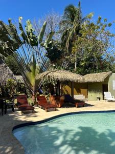 a resort with a swimming pool with chairs and a palm tree at Hotel Las Hamacas in Santa Catalina