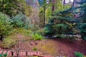 Zahrada ubytování Forest Brook