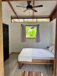 a bedroom with a bed with a ceiling fan and a window at Comfy jungle place / FiberOptic/1 km from the beach in Cocles