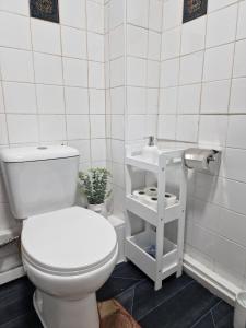 a bathroom with a white toilet and a sink at Perculiar Homes in Birmingham