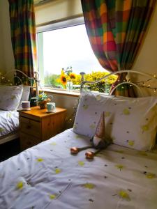 a bedroom with a bed with a window and flowers on it at Causeway Coast Country Cottage, Pet-friendly in Ballycastle