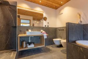 a bathroom with a sink and a toilet at Chalet Panorama Himmelreich in San Candido
