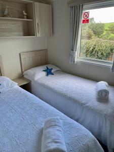 two beds in a small room with a window at Newquay Bay Resort Sandy Toes - Hosting up to 6 in Newquay