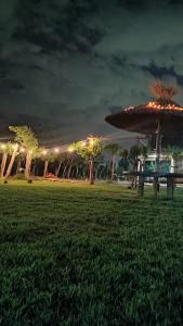 Taman di luar Cabañas El Sauce