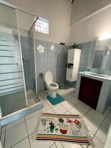 a bathroom with a shower and a toilet and a sink at Appart T3 + Voiture - Gosier in Le Gosier