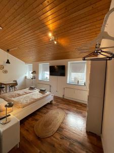 TV a/nebo společenská místnost v ubytování Apartment kleiner Münz + 12 fotografií