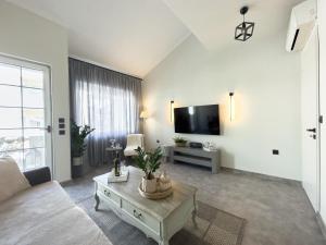 TV a/nebo společenská místnost v ubytování Ixia home
