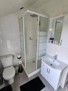 a bathroom with a shower and a toilet and a sink at Studio 1pièce cosy Paris-Disney in Vaires-sur-Marne