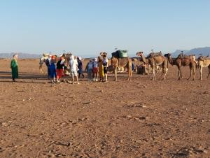 un grupo de personas de pie junto a un grupo de camellos en Bivouac boussakri, en Tinfo