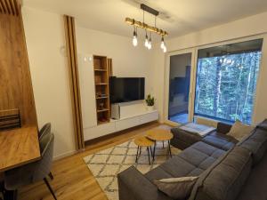 a living room with a couch and a tv at Mountain Oasis Bjelasnica in Bjelašnica