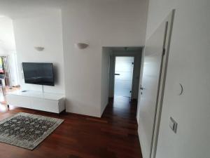 TV a/nebo společenská místnost v ubytování Moderne Ferienwohnung Urlaub am See Mattsee Salzburg Salzburger Seenland Trumer Seenland