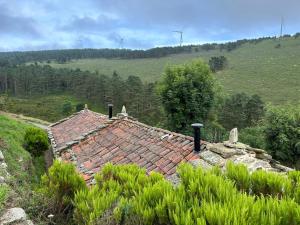 un toit d'une maison dans un champ dans l'établissement Ca Manín, à Tineo
