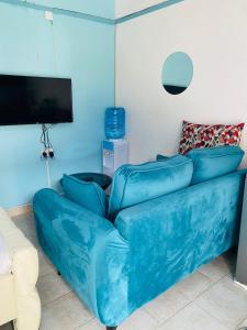a blue couch in a living room with a flat screen tv at Budget Studio. Nakuru CBD. Wifi. Spacious. Ample Parking in Nakuru