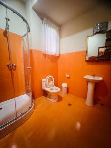 a bathroom with a shower and a toilet and a sink at HGA-Turquesa-Spa in La Paz