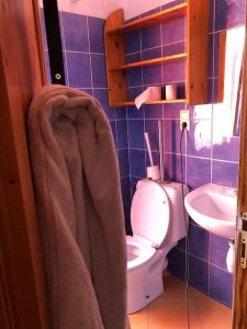 y baño con aseo y lavamanos. en Cozy & Comfy House in Forest! en Bruselas