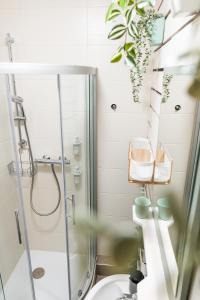 a bathroom with a shower and a toilet and a sink at Markt 22 Am Marktplatz Landesgartenschau in Freudenstadt +13 photos