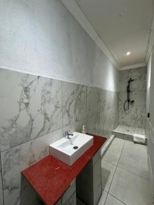 a bathroom with a white sink and a shower at Entindini guest house in Empangeni