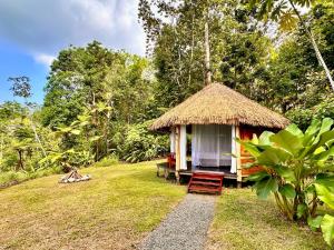 Zahrada ubytování Finca Terra Incognita - Wood cabins in the jungle