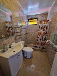 a bathroom with a sink and a toilet at cabañas Dany in Concón