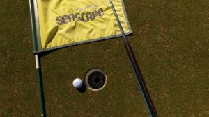 Golf v prázdninového domu nebo okolí