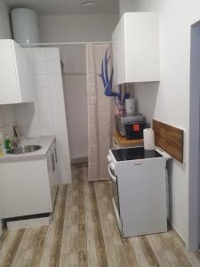una pequeña cocina con armarios blancos y suelo de madera. en Ferienwohnung Schlössel 10/16, en Viena