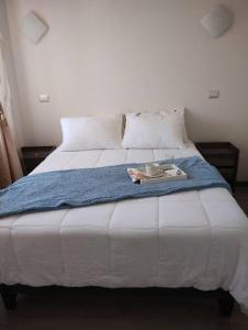 ラ・セレナにあるDepartamento cercano a playa El Faro con 2 dormitoriosの青い毛布と本が置かれたベッド