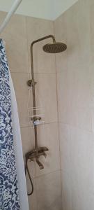 a shower in a bathroom with a shower head at Carib condo in Ocho Rios