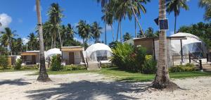a group of domes with palm trees in the background at Malipaya Villas in General Luna
