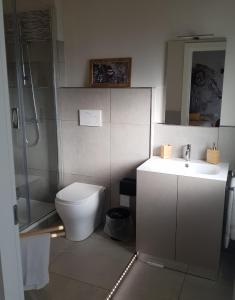 y baño con aseo, lavabo y ducha. en Nyx Lilura Foresteria Lombarda en Seriate