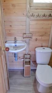 a small bathroom with a toilet and a sink at Cabaña Pavachoque in Puente Nacional