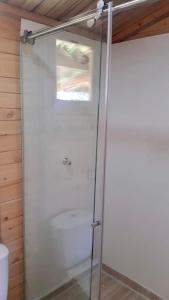 a glass shower door in a bathroom with a toilet at Cabaña Pavachoque in Puente Nacional