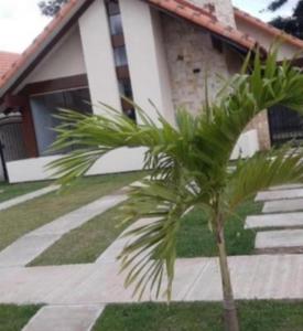 una palmera frente a una casa en Hermosa casa para vacacionar, en Santa Cruz de la Sierra