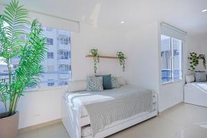 a white room with a bed and a window at Riviera Suite - Livin Colombia in Cartagena de Indias