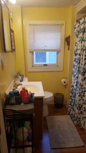 a bathroom with a sink and a toilet and a window at Cozy 3 Bedroom House in Downtown Ithaca in Ithaca