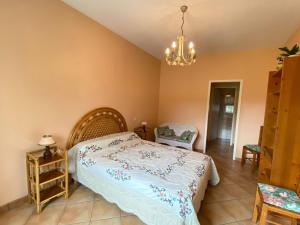 Un dormitorio con una cama y una lámpara de araña. en Semi-detached house on a vineyard, Talais, en Talais
