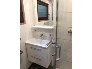a bathroom with a sink and a mirror and a shower at Lovely apartment in Putbus in Hambühren