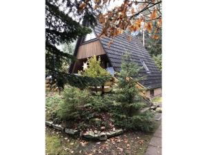 a house with trees in front of it at Lovely apartment in Putbus in Hambühren